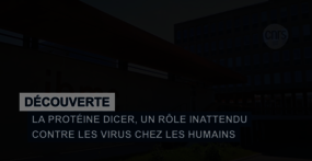 [Translate to English:] 