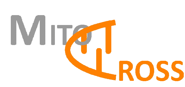 Logo Mitocross