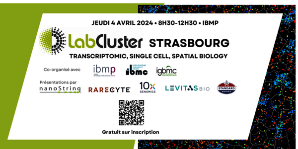 [Translate to English:] 