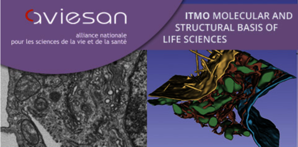 [Translate to English:] 