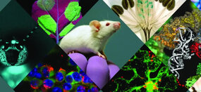 Composition with different images from the research laboratories present in the ITI IM Bio