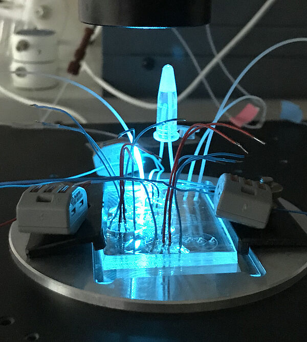 Photo d'un montage microfluidique