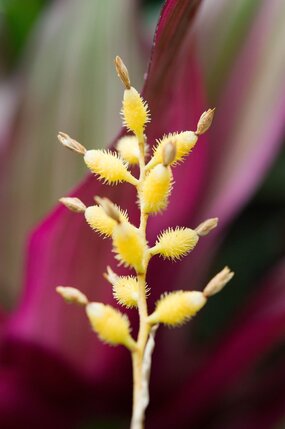 [Translate to English:] 